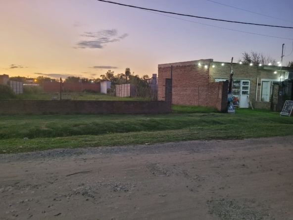 Imagen de WhatsApp 2025-03-08 a las 20.03.01_04653038