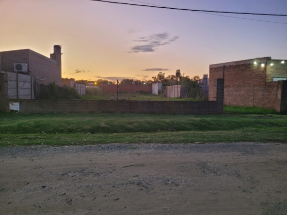 Imagen de WhatsApp 2025-03-08 a las 20.03.01_f44365f1