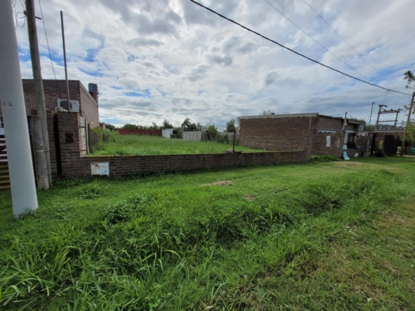 Imagen de WhatsApp 2025-03-08 a las 20.03.54_42930b54