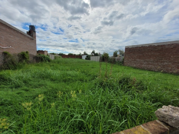 Imagen de WhatsApp 2025-03-08 a las 20.03.54_4439fde8