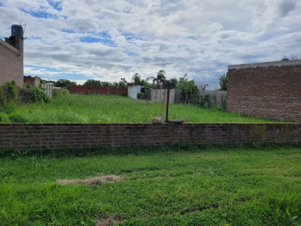 Imagen de WhatsApp 2025-03-08 a las 20.03.54_a5edd1e7