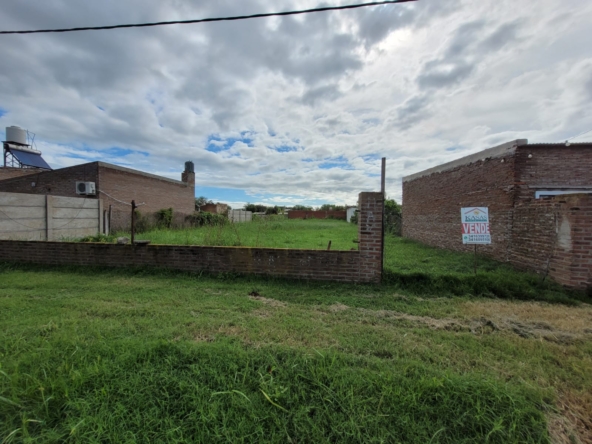 Imagen de WhatsApp 2025-03-08 a las 20.03.54_cc000402