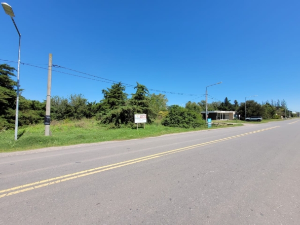 Imagen de WhatsApp 2025-03-14 a las 13.30.00_0f59f147