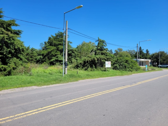 Imagen de WhatsApp 2025-03-14 a las 13.30.04_303d9779