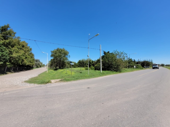 Imagen de WhatsApp 2025-03-14 a las 13.30.05_bc5b3922