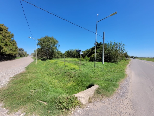 Imagen de WhatsApp 2025-03-14 a las 13.30.18_50f440e8