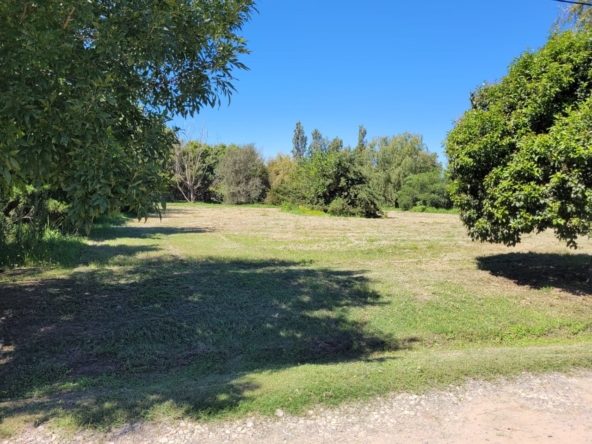 Imagen de WhatsApp 2025-03-14 a las 13.30.19_4354cf0e