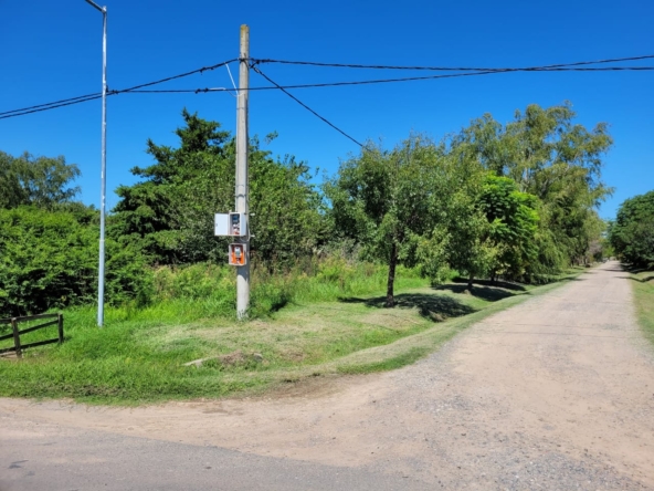 Imagen de WhatsApp 2025-03-14 a las 13.30.19_ff37ac3a