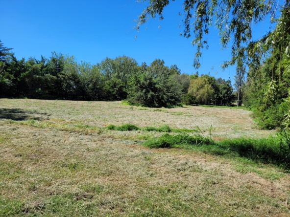 Imagen de WhatsApp 2025-03-14 a las 13.30.20_2f653bea