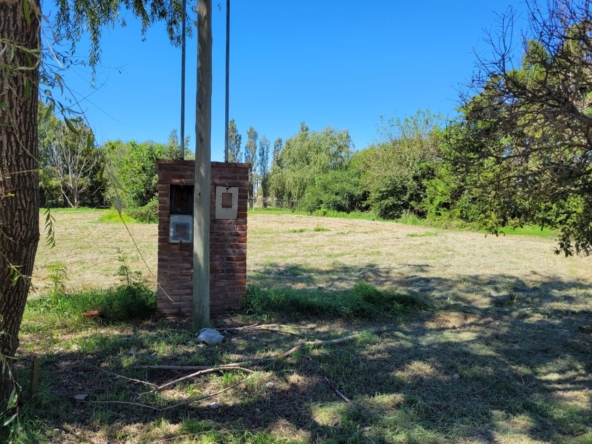 Imagen de WhatsApp 2025-03-14 a las 13.30.20_38a80020