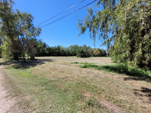 Imagen de WhatsApp 2025-03-14 a las 13.30.20_bc695a07