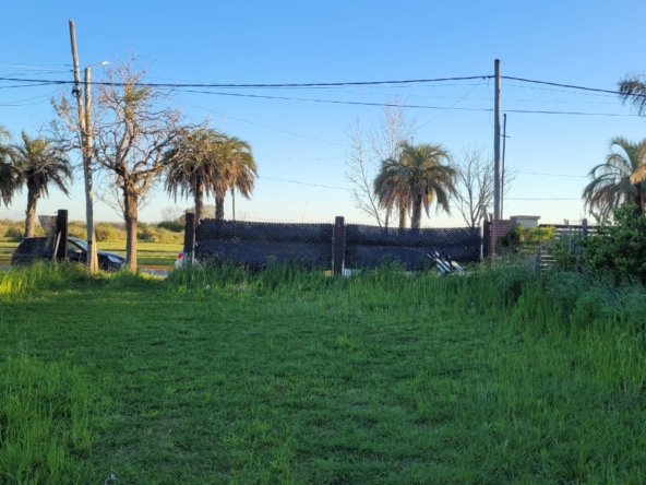 IMG-20250930-WA0009
