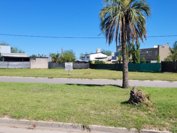 WhatsApp Image 2026-02-24 at 15.23.16 (1)