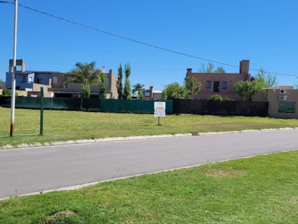 WhatsApp Image 2026-02-24 at 15.23.16 (4)