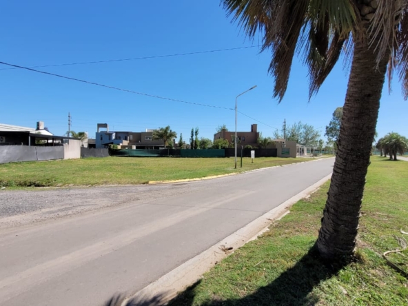 WhatsApp Image 2026-02-24 at 15.23.16 (5)