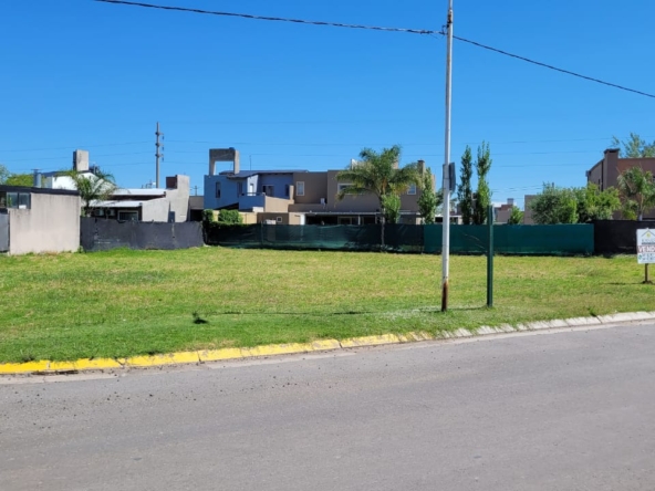 WhatsApp Image 2026-02-24 at 15.23.17 (1)