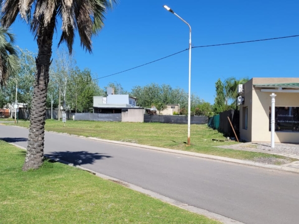 WhatsApp Image 2026-02-24 at 15.23.17 (3)