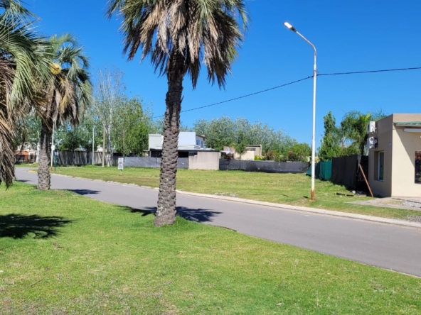 WhatsApp Image 2026-02-24 at 15.23.17 (4)