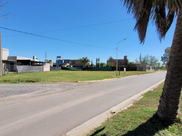 WhatsApp Image 2026-02-24 at 15.23.17